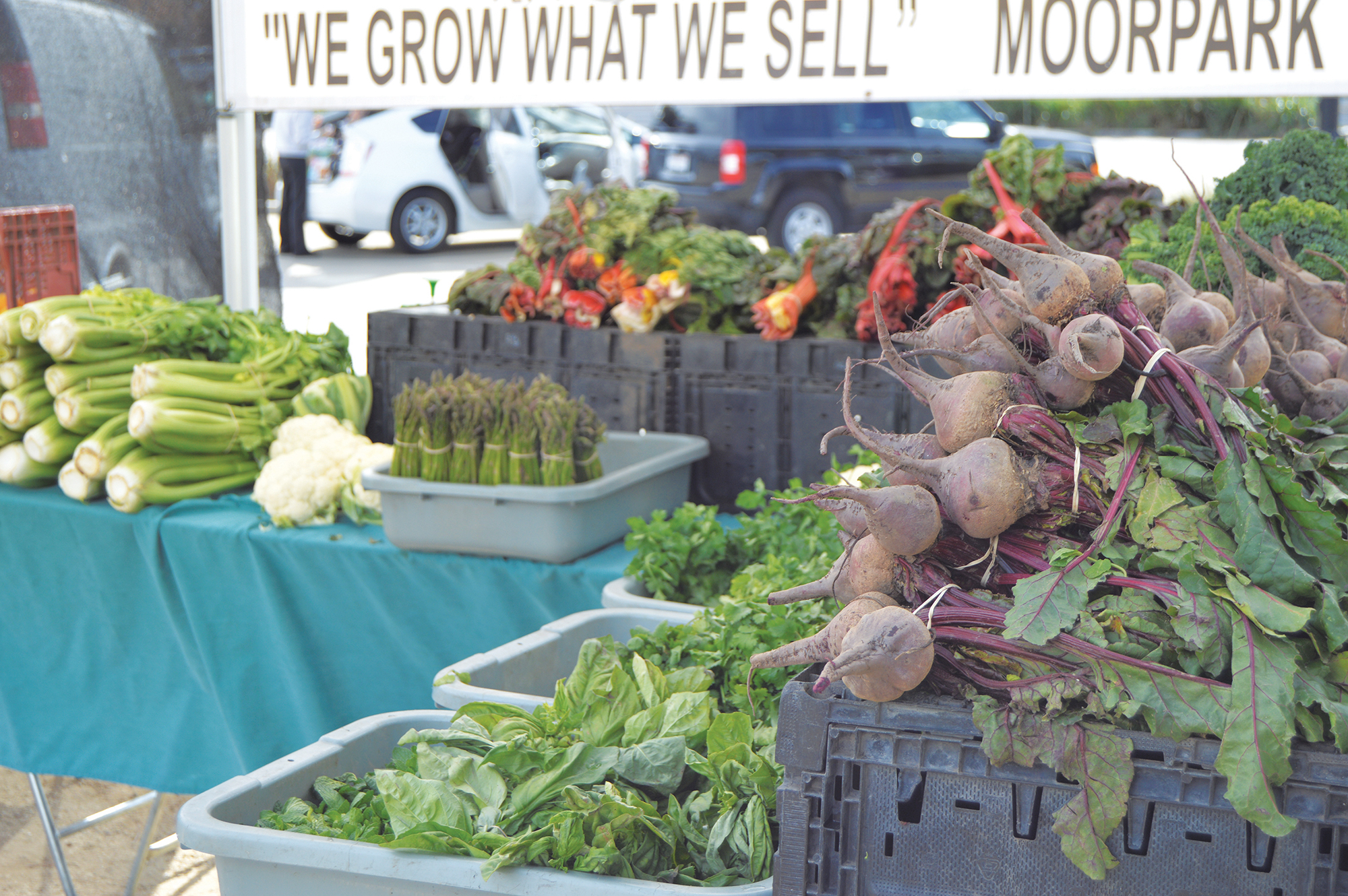 Business and Nonprofit News: New Farmers’ Market for Westchester?