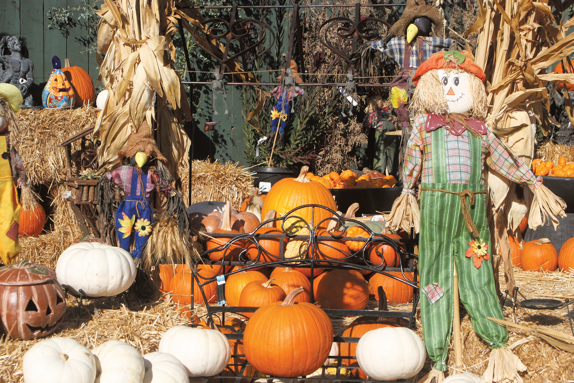 Our Pick of Local Halloween and Fall Events
