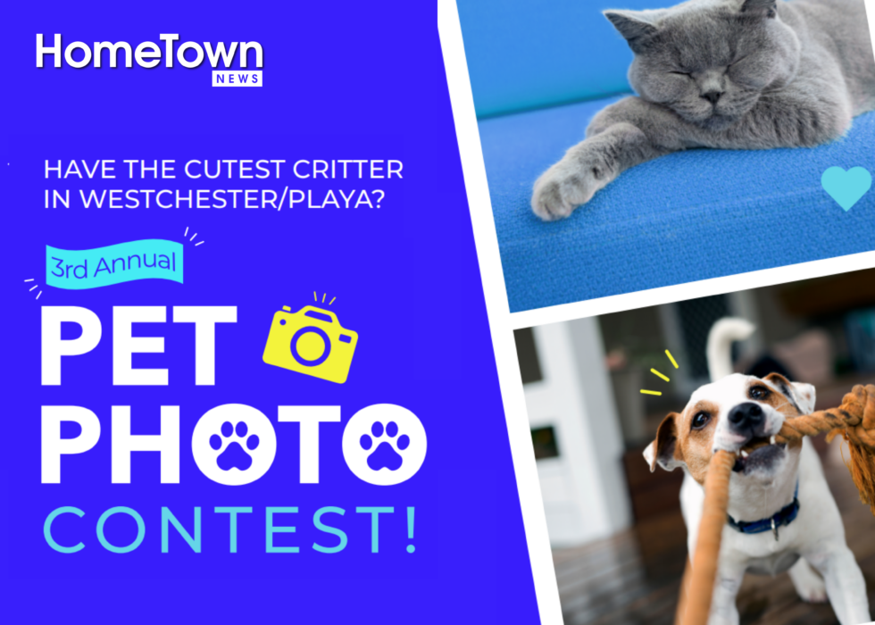 Third Annual Pet Photo Contest The HomeTown News