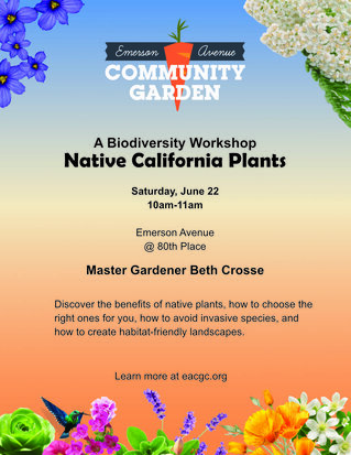 California Native Plant Workshop